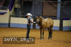 20YN_28571 thumbnail