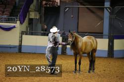 20YN_28573 thumbnail