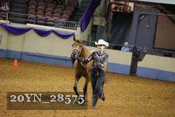 20YN_28575 thumbnail