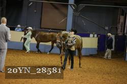 20YN_28581 thumbnail