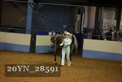 20YN_28591 thumbnail