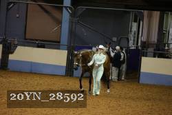 20YN_28592 thumbnail