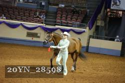 20YN_28598 thumbnail