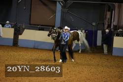 20YN_28603 thumbnail