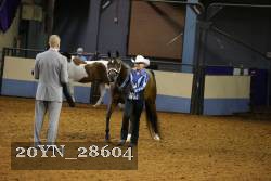 20YN_28604 thumbnail