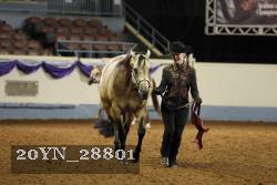 20YN_28801 thumbnail