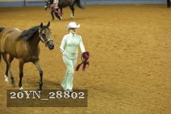 20YN_28802 thumbnail