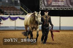 20YN_28803 thumbnail