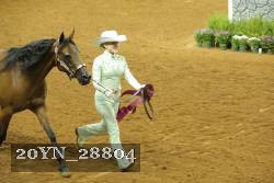 20YN_28804 thumbnail