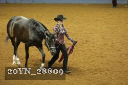 20YN_28809 thumbnail