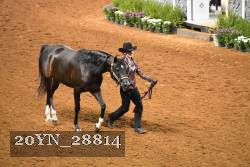 20YN_28814 thumbnail
