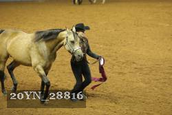 20YN_28816 thumbnail