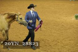 20YN_28823 thumbnail