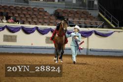 20YN_28824 thumbnail