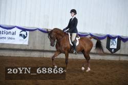 20YN_68868 thumbnail