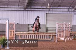 20YN_58012 thumbnail
