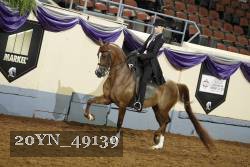 20YN_49139 thumbnail