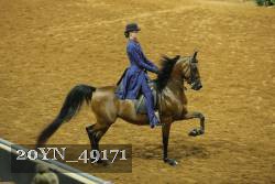 20YN_49171 thumbnail