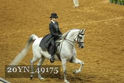 20YN_49175 thumbnail