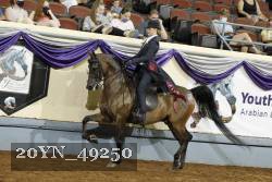 20YN_49250 thumbnail