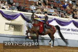20YN_49320 thumbnail