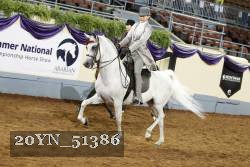 20YN_51386 thumbnail
