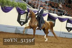 20YN_51391 thumbnail