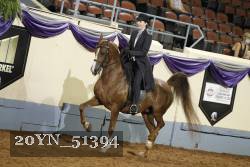 20YN_51394 thumbnail