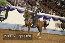 20YN_51400 thumbnail
