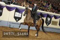 20YN_51401 thumbnail
