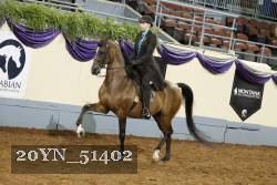 20YN_51402 thumbnail