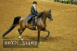 20YN_51403 thumbnail