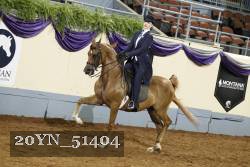 20YN_51404 thumbnail