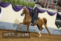 20YN_51425 thumbnail