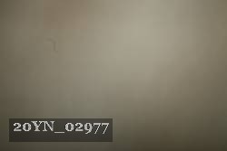 20YN_02977 thumbnail