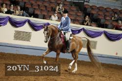 20YN_31024 thumbnail