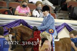 20YN_31043 thumbnail