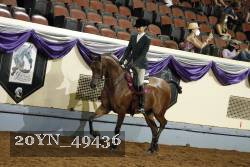 20YN_49436 thumbnail