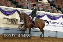 20YN_49439 thumbnail