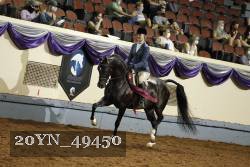 20YN_49450 thumbnail
