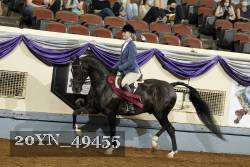 20YN_49455 thumbnail