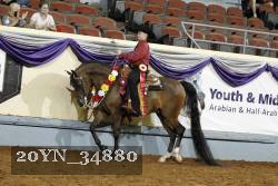 20YN_34880 thumbnail