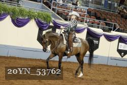 20YN_53762 thumbnail