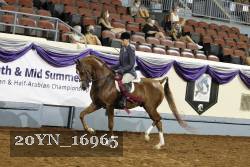 20YN_16965 thumbnail