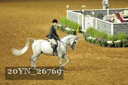 20YN_26769 thumbnail