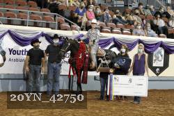 20YN_42750 thumbnail