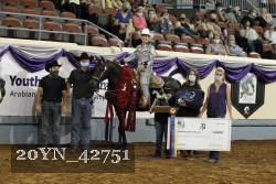 20YN_42751 thumbnail