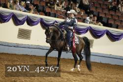 20YN_42767 thumbnail