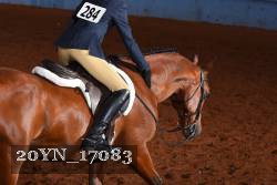 20YN_17083 thumbnail