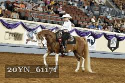 20YN_61171 thumbnail